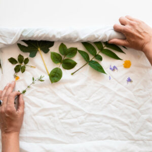 Arte, naturaleza y bienestar