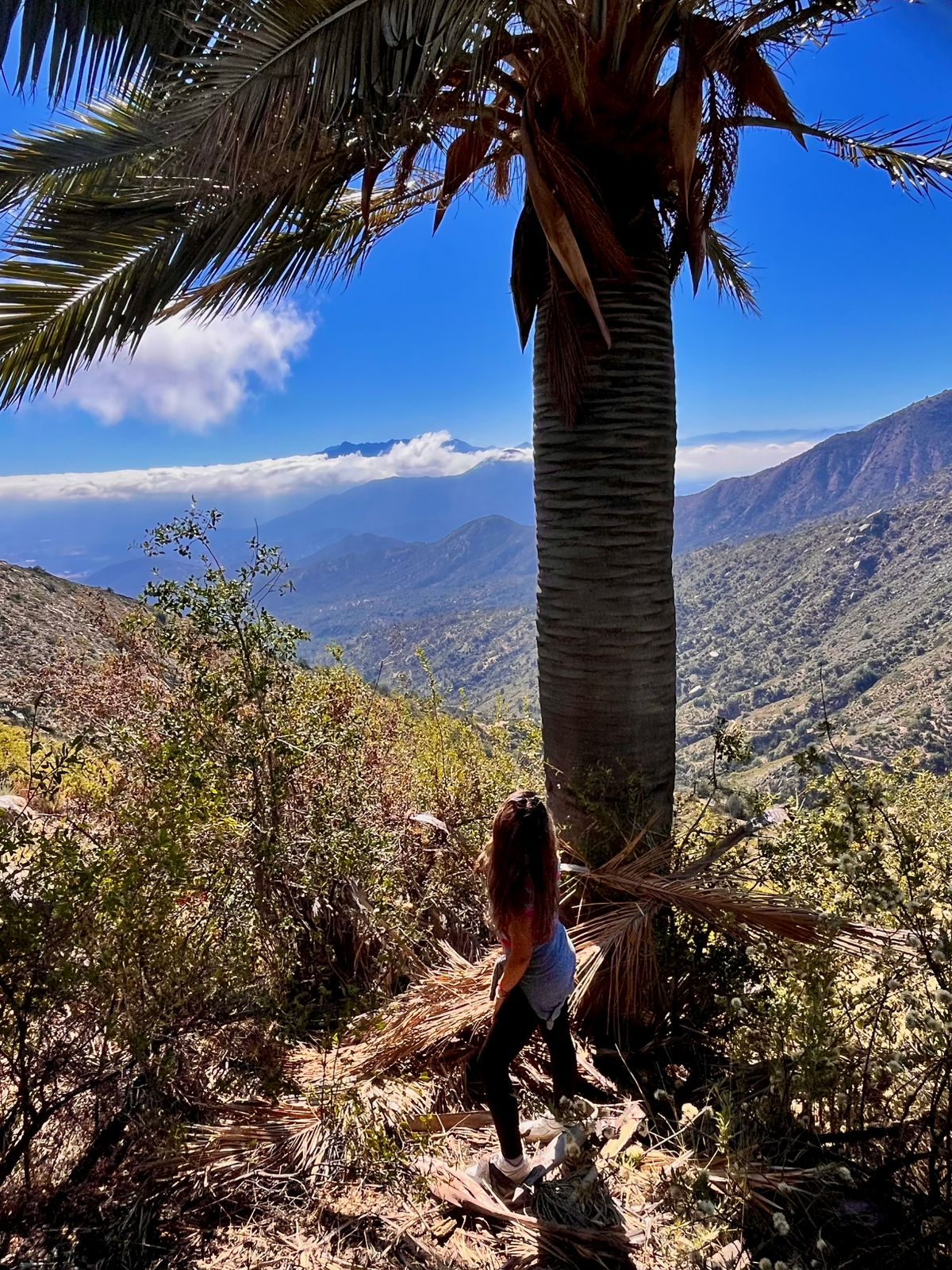 Senderismo - Parque Nacional La Campana - Reserva de la Biosfera - Imagen 4