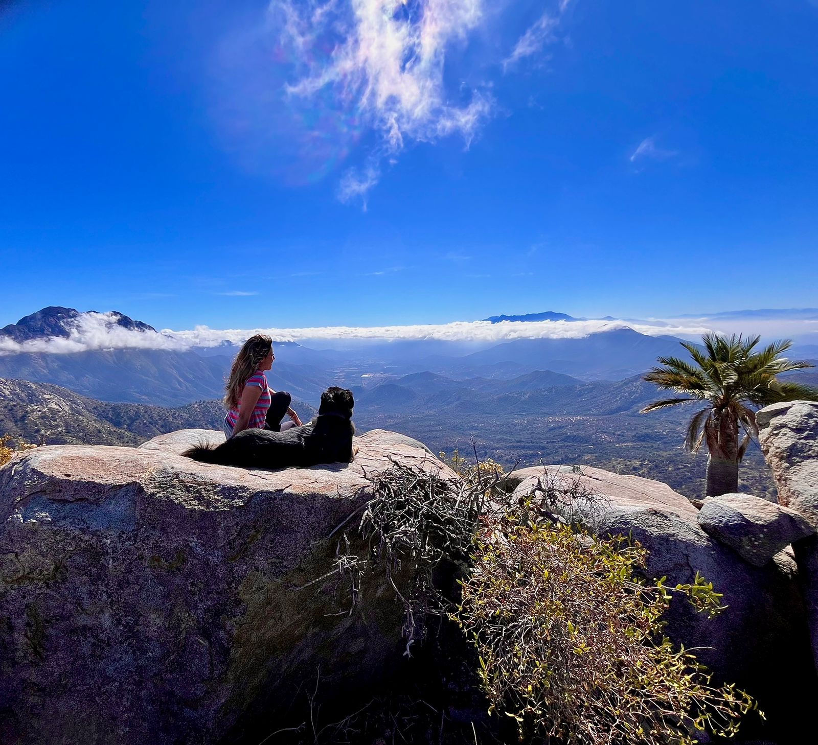 Caminata guiada Reserva Natural Las Palmas, La Campana