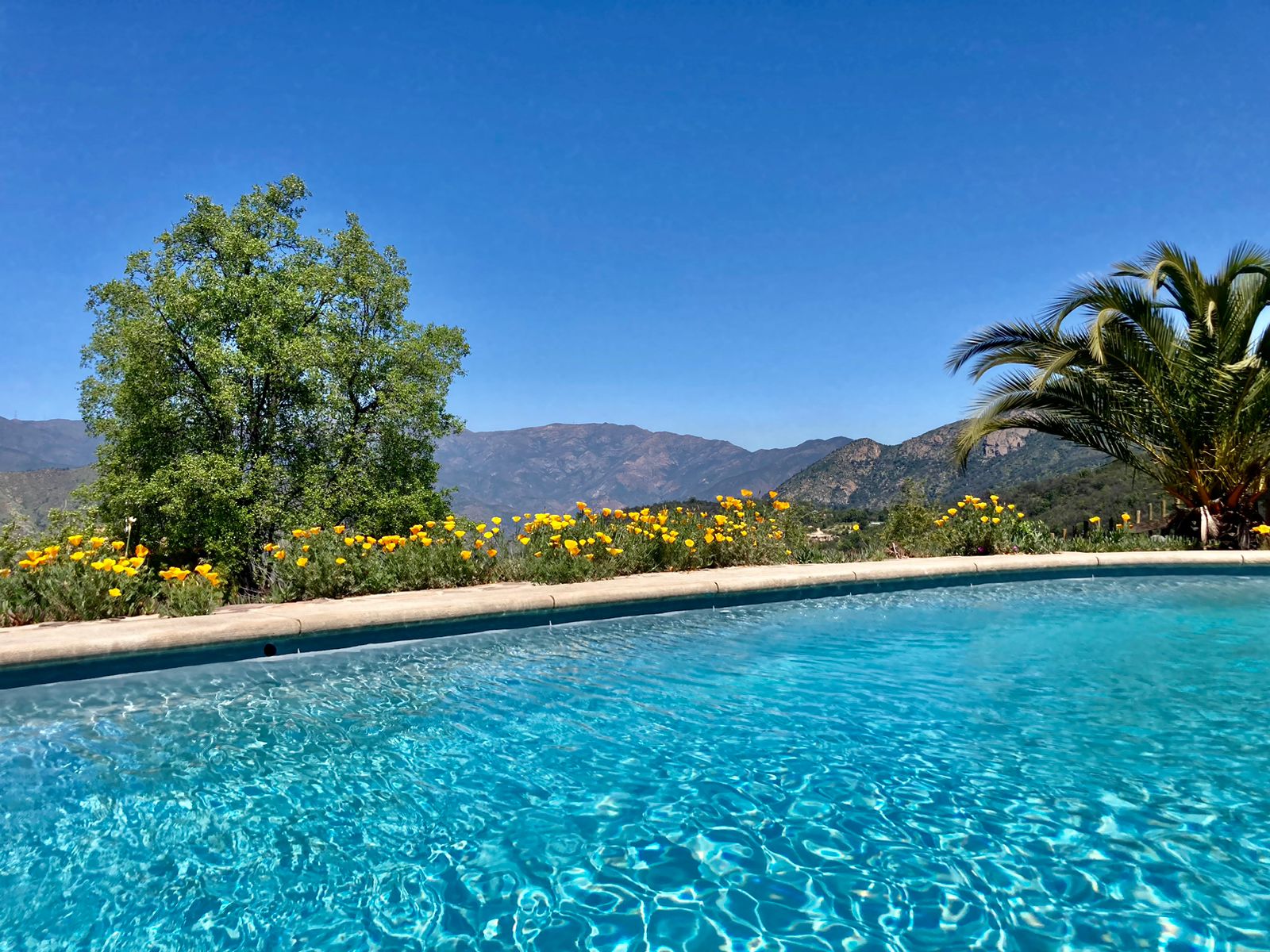 Piscina Temperada con vista Panoramica
