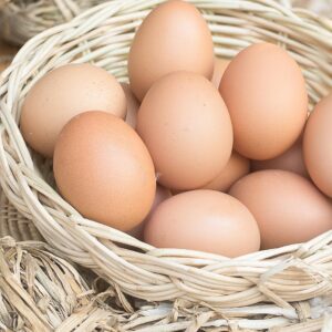 eggs, chicken eggs, fresh eggs, organic eggs