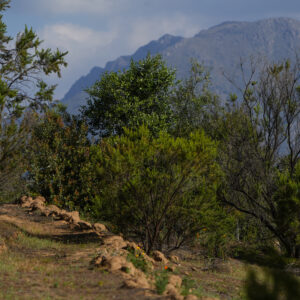 Sendero 1km