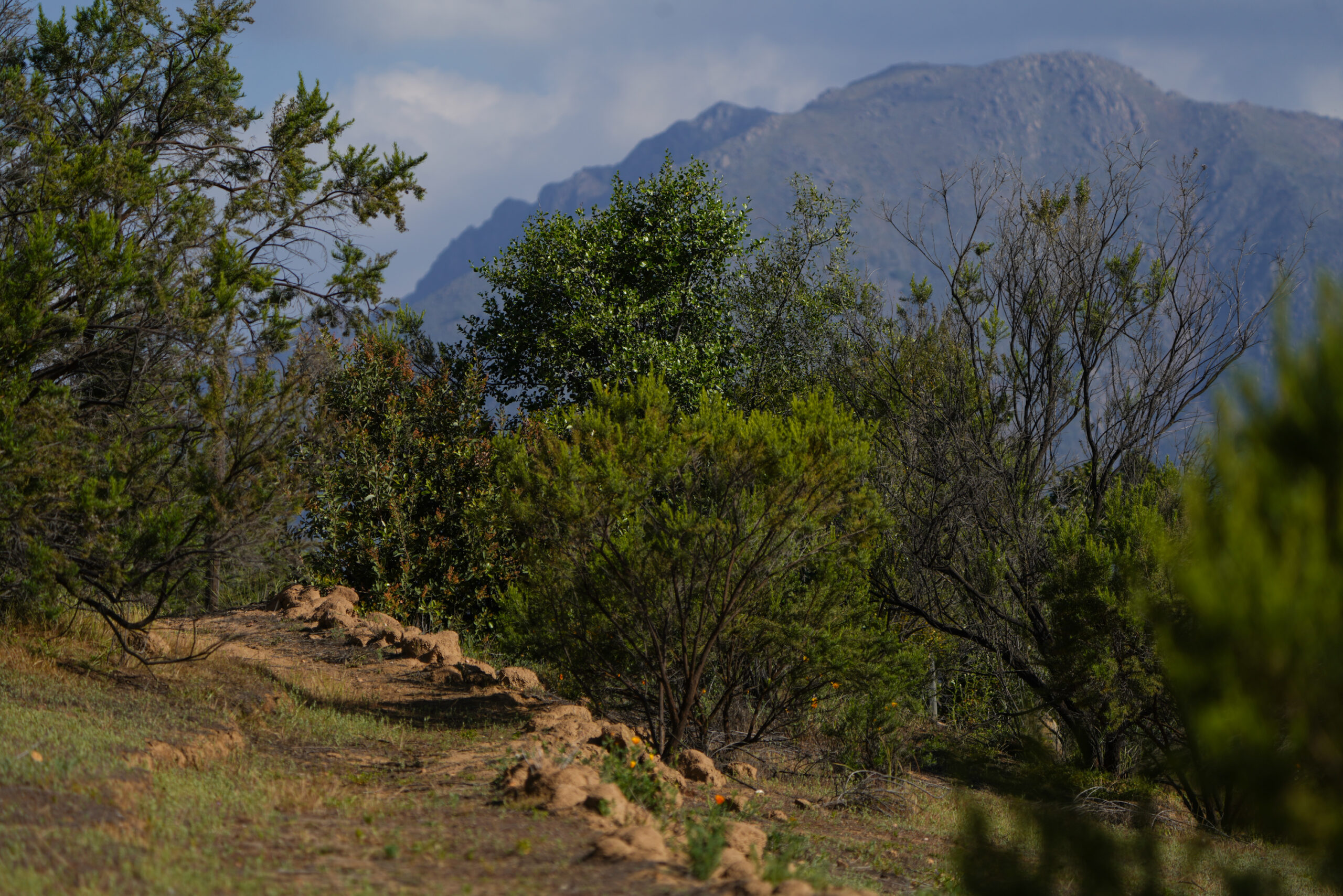 Sendero 1km