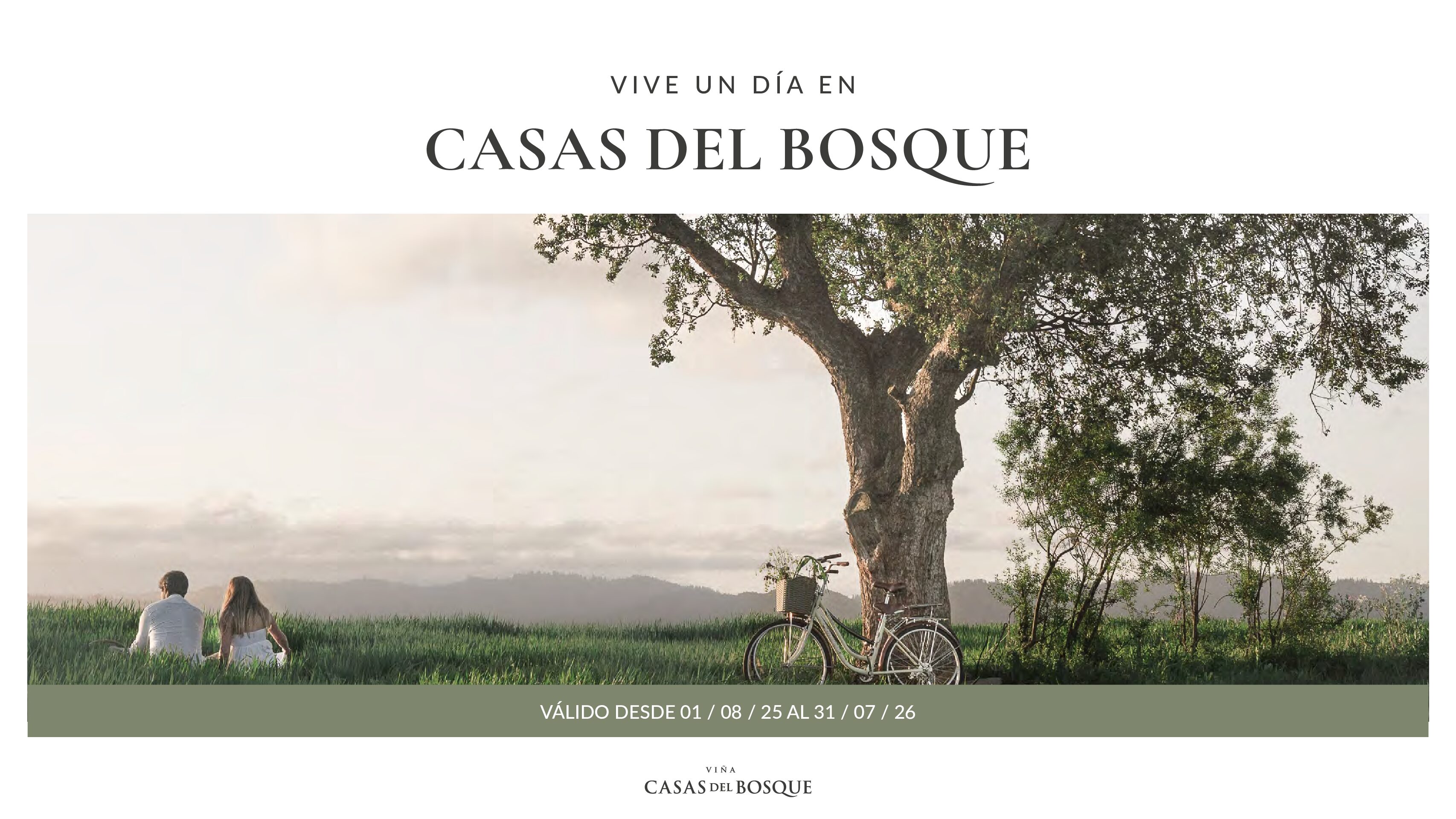 Enoturismo - Valle de Casablanca - Imagen 2